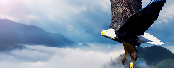 低壓配電箱價(jià)格 低壓配電箱價(jià)格